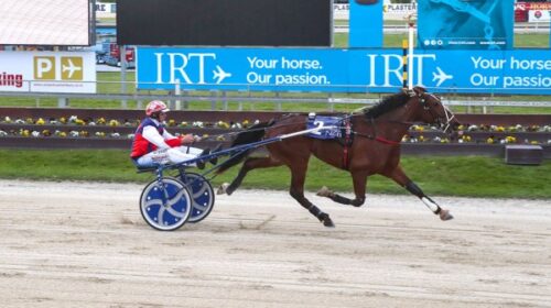 Paramount-Kiwi-blog-Addington-October-20