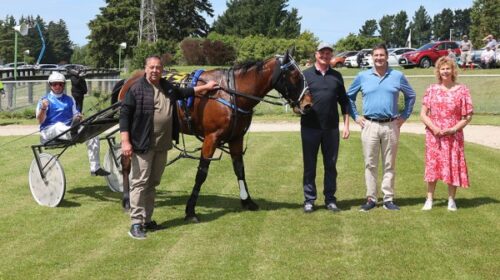 Pinseeker-connections-blog-Rangiora-Nov-