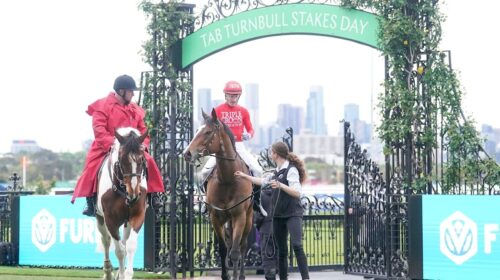 Revolutionary-Miss-Rose-Of-Kingston-Stak