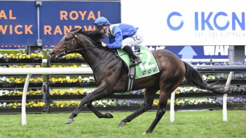 Royal-Patronage-Tramway-Stakes-1-500x280