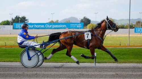 Sassy-Star-action-blog-Cambridge-oct-202