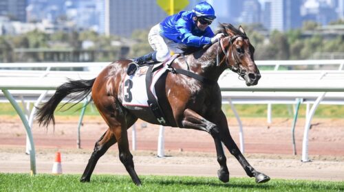 Traffic-Warden-VRC-Sires-Produce-Stakes-