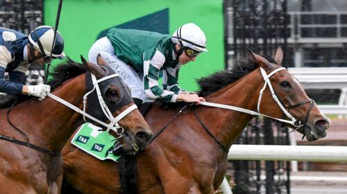 Via-Sistina-Turnbull-Stakes-1-500x280.jp