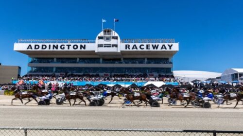 Addingon-generic-cup-day-wide-horses-blo