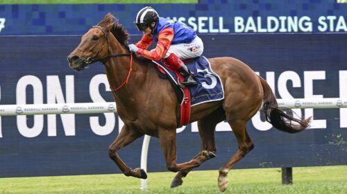 Bella-Nipotina-Russell-Balding-Stakes-1-