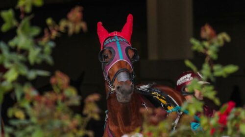 Brother-Love-blog-Addington__ResizedImag