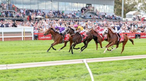 Cranbourne-Cup-Day-2024-Replays-500x280.