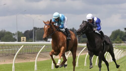 Crocetti-Sacred-Satono-scaled-1-500x280.