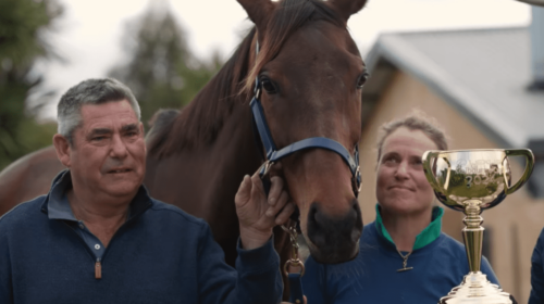 Dan-Clarken-Oopy-MacGillivray-500x280.pn