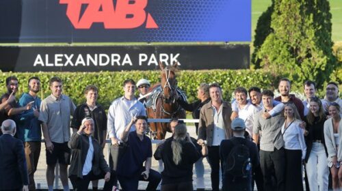 Double-Parked-connections-blog-Alex-Nov-