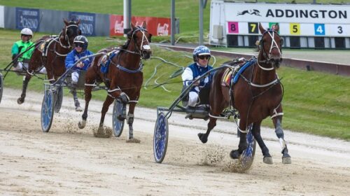 Duchess-Megxit-blog-GP-day-addington-Dec