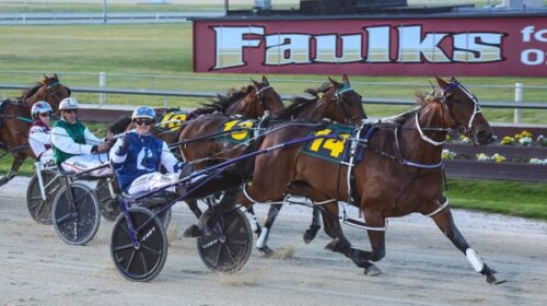 Duchess-Megxit-blog-oaks-addington-Nov-2