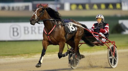 Faith-In-Manchester-blog-Alex-Park-Nov-2