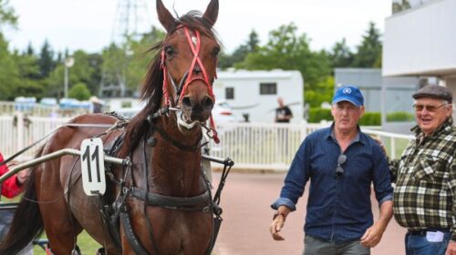 Fredastaire-Allan-Shutkowski-blog-Ashbur