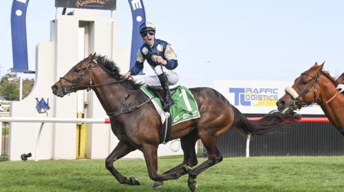 Gringotts-Claims-2024-The-Gong-500x280.j