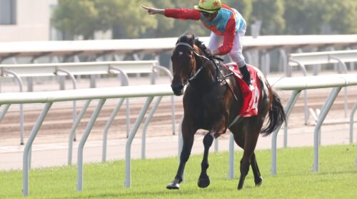Ka-Ying-Rising-Jockey-Club-Sprint-scaled