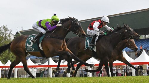 La-Crique-Auckland-Thoroughbred-Breeders