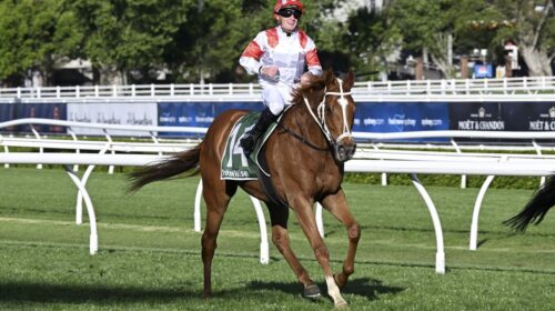 Land-Legend-Metropolitan-Handicap-500x28