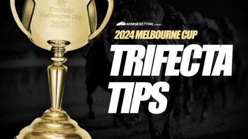 MC-TRIFECTA-TIPS-24-500x280.jpg