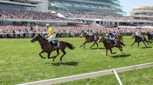 Melbourne-Cup-Day-Replays-500x280.jpg