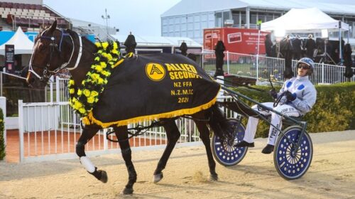 Merlin-rug-blog-Addington-Nov-2024__Resi