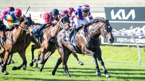 Mojo-Rhythm_16-11-2024_WIN_Ascot_7__06_1