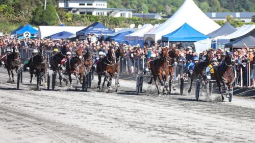 Mounga-blog-kaikoura-Cup-wide-finish-Nov