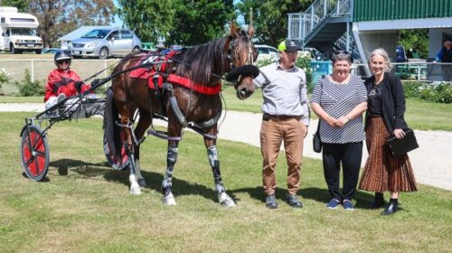 Mouton-cadet-connections-Rangiora-Nov-20