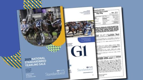 NZB-yearling-catalgue-2025-blog__Resized