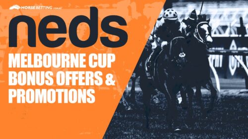 Neds-Promos-Melbourne-Cup-1-500x280.jpg