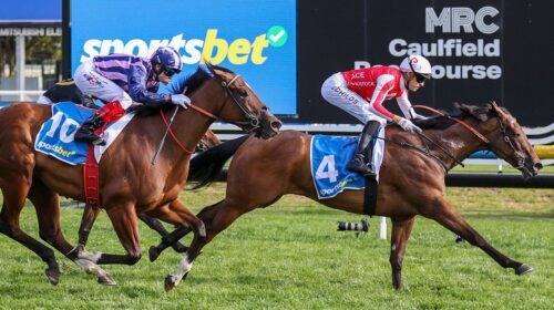 NianceHow-Now-StakesGroup-3_16-11-2024_W