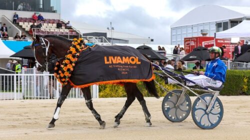 Oscar-Bonavena-Free-For-all-rug-blog-Nov