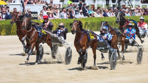 Sheza-Gift-blog-Cup-Day-Nov-2024-action_