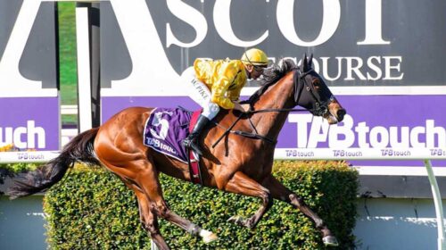 Storyville_16-11-2024_WIN_Ascot_6__82_10