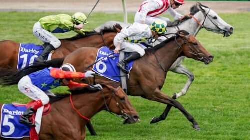 Sunshine-In-Paris-Champions-Sprint-500x2