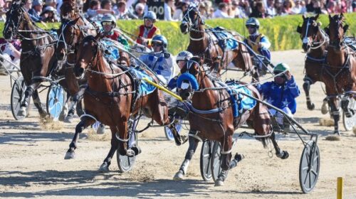 Swayzee-action-Addington-Nov-2024-blog__