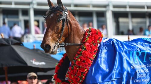 Swayzee-blog-Nz-Cup-Nov-23__ResizedImage