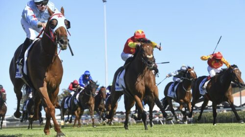 The-Hunter-Day-2024-Race-Replays-500x280