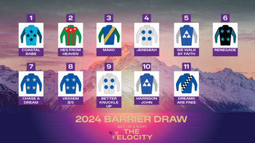 The-Velocity-Barrier-Draw-1-v2__ResizedI