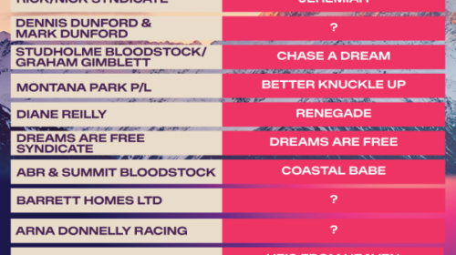 The-Velocity-Slor-Holder_Runner-Post-3__