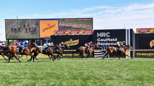 Thousand-Guineas-Day-2024-Replays-500x28