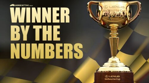 WINNER-BY-THE-NUMBERS-500x280.jpg
