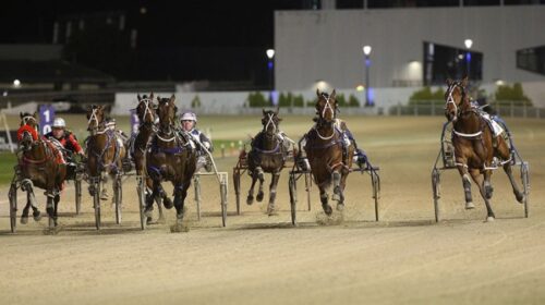 Youretheonethatiwant-blog-alex-park-2024