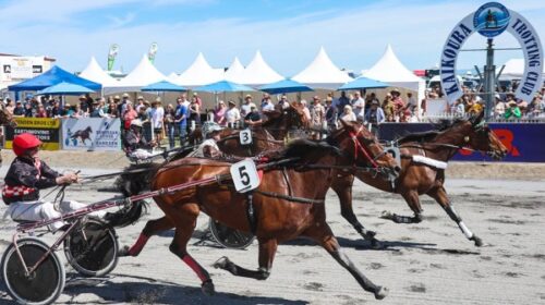 ikoura-finish-Nov-2024-High-Step-blog__R