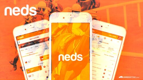 neds-app-ad-500x280.jpg