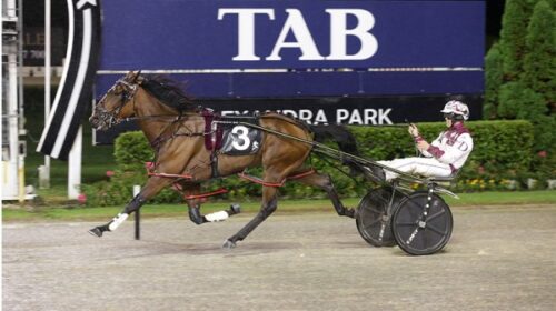 All-You-Need-Is-Me-Carter-Dalgety-blog-v