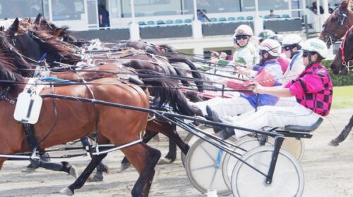 Ascot-Park-generic-mobille-blog-v2__Resi