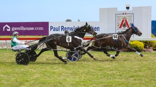 Audacity-finish-blog-Akaroa-Cup-Nov-2024