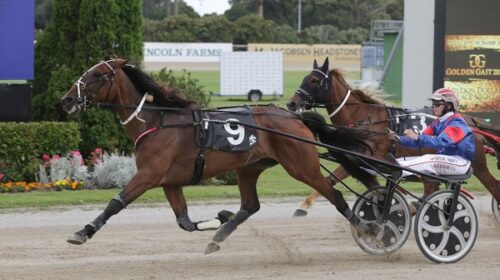 Belle-Neige-blog-Crystal-Hackett-Alex-Pa