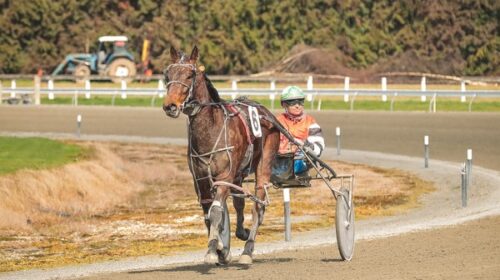 Blair-Orange-blog-sulky-post-race-24__Re